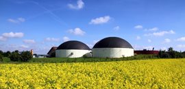 Manejo biomasa y biogas 